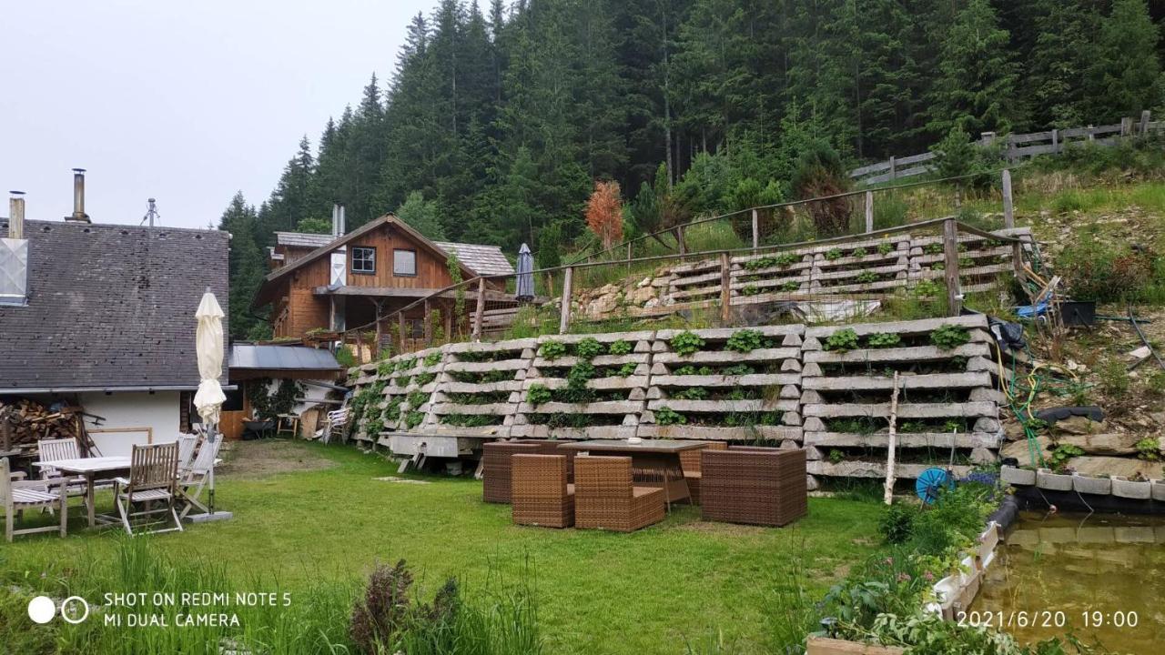 Chalet Steiermark Pusterwald Екстер'єр фото