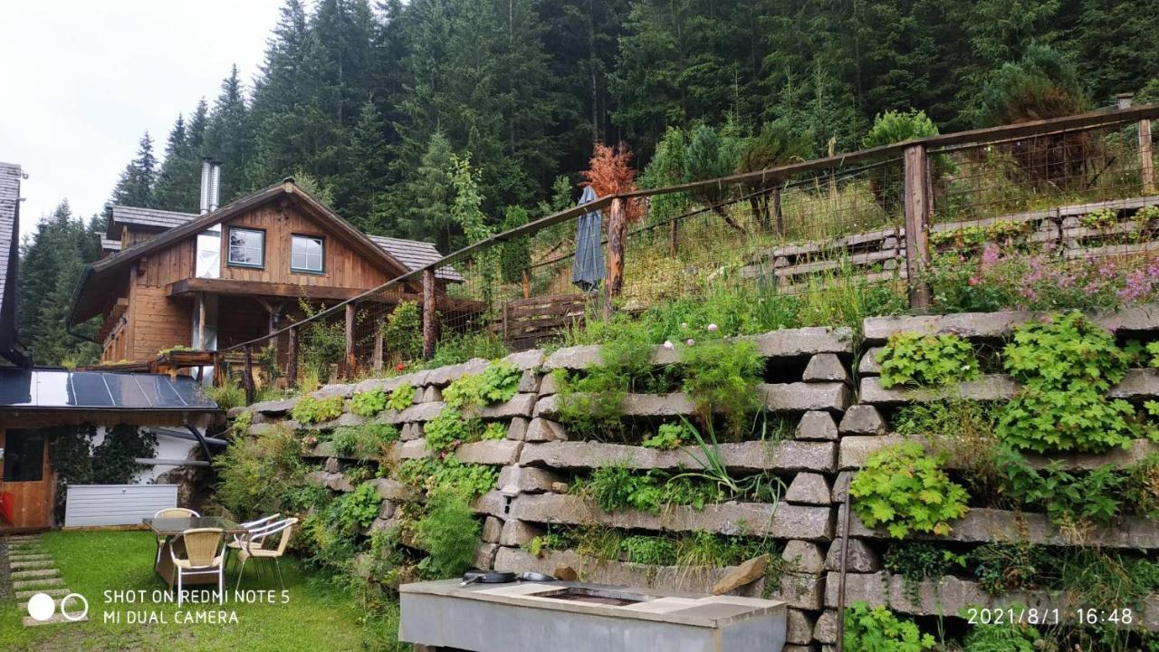 Chalet Steiermark Pusterwald Екстер'єр фото