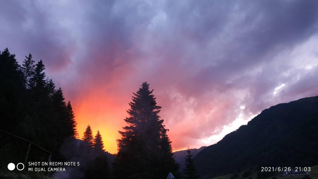 Chalet Steiermark Pusterwald Екстер'єр фото